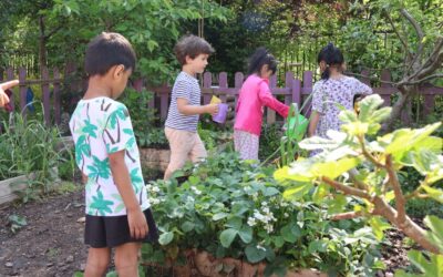 St Werburgh’s Nursery – Term 1 Newsletter
