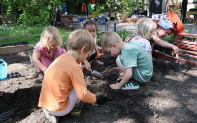 Join Us for Stay and Play Sessions Ahead of the New Term!