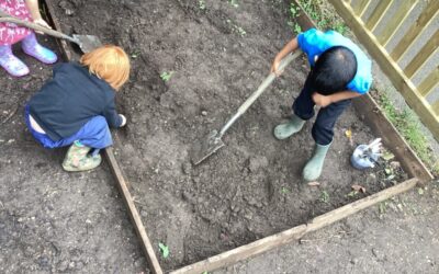 St Werburgh’s Park Nursery Children Discover Allotment Adventures