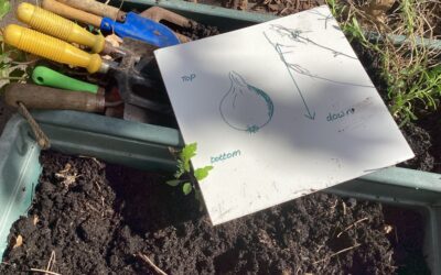 Rosemary Class 1 Makes the Most of Sunny Weather
