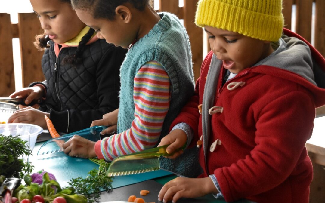 The Children’s Kitchen – Coming Soon to The Limes