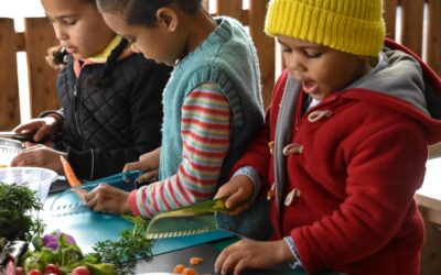 The Children’s Kitchen – Coming Soon to The Limes