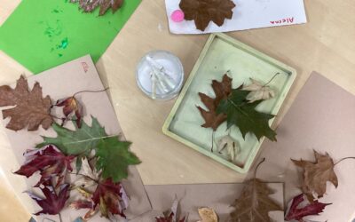 The Limes Willow Room Creates Autumn Collages and Water Play