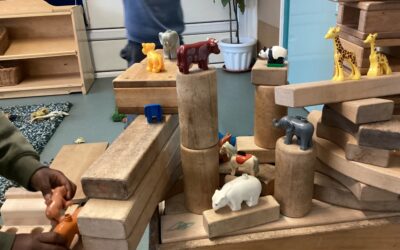 Rosemary Class 1 Explores Block Play
