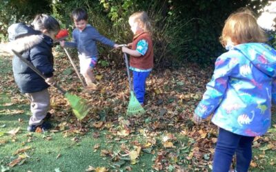 The Limes Willow Room Enjoys Autumn Leaves and Helicopter Stories