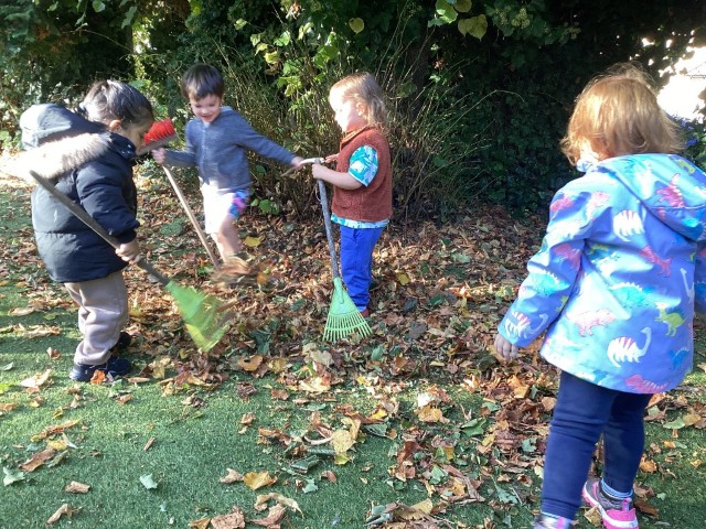 The Limes Willow Room Enjoys Autumn Leaves and Helicopter Stories