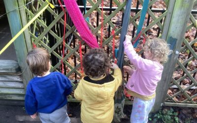 St Werburgh’s Park Nursery School Explores Building and Autumn Activities