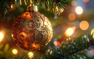 St Werburgh’s Park December 2025 Newsletter