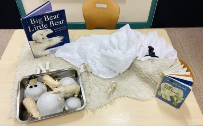 Rosemary Class 2 Explores Owl Babies and Habitats