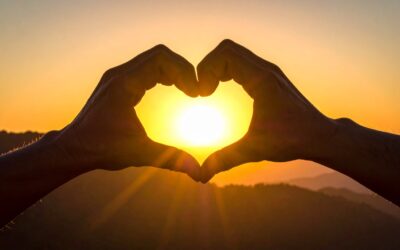 Navigation and Nurture Support Group