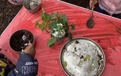 Rosemary Class 1 Explores Goldilocks Through Role Play and Cooking