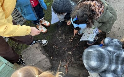 Pancakes, Minibeasts and Muddy Discoveries in Willow Room