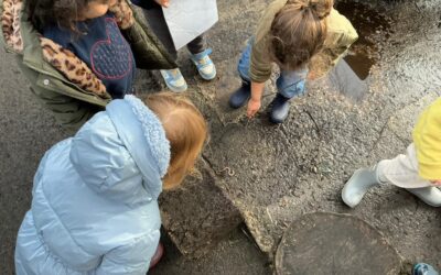 The Limes Willow Room Explores Birds and Emotions