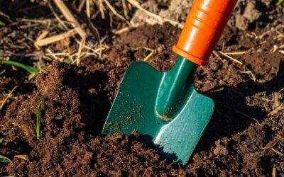 Getting Our Hands Dirty: Green Room and Green 2 Room Head to the Allotment!