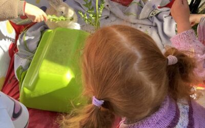 Red Room Visits Farm Animals