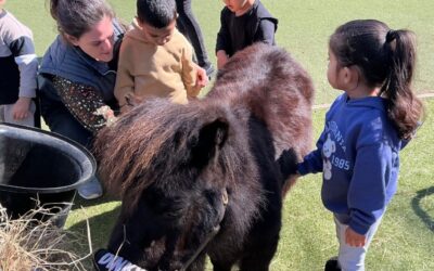 Farm Animals Come to Willow Room!
