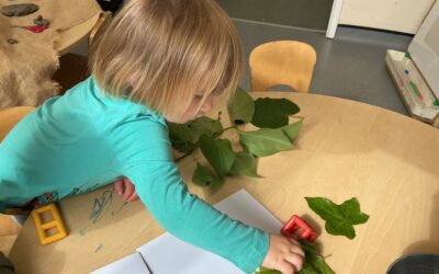 Willow Room Enjoys Autumn Leaves and Caterpillar Discoveries at The Limes