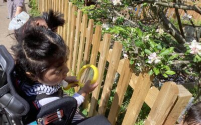 Exploring Nature and Mini Beasts in Yellow Room