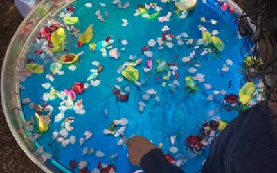 Exploring, Growing and Counting in Rosemary Class 2