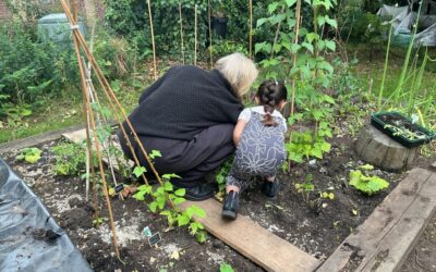 Ready to Harvest: Exploring Our Homegrown Vegetables at The Limes Nursery School