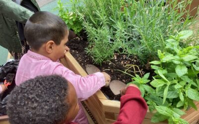 Busy Hands and Growing Seeds in Class 1