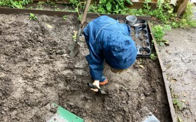 Caring for Our Allotment in Yellow Room