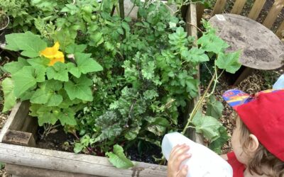 Keeping Cool and Caring for Our Garden in Yellow Room