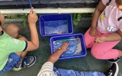 Splashing About and Wild Things: Class 1’s Last Two Weeks