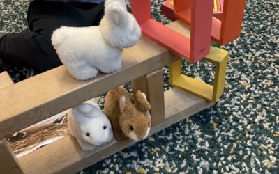 Celebrating Diversity and Getting Ready for Our New Pets in Class One