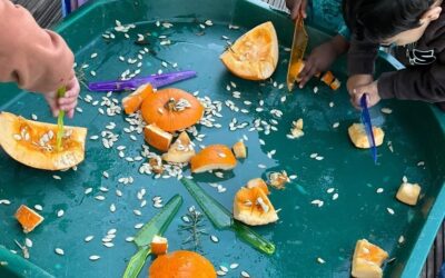 Pumpkin Discoveries, Creative Making and Celebrating Differences in Green Class
