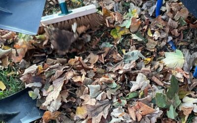 Celebrating Diversity and Exploring Autumn in Red Class